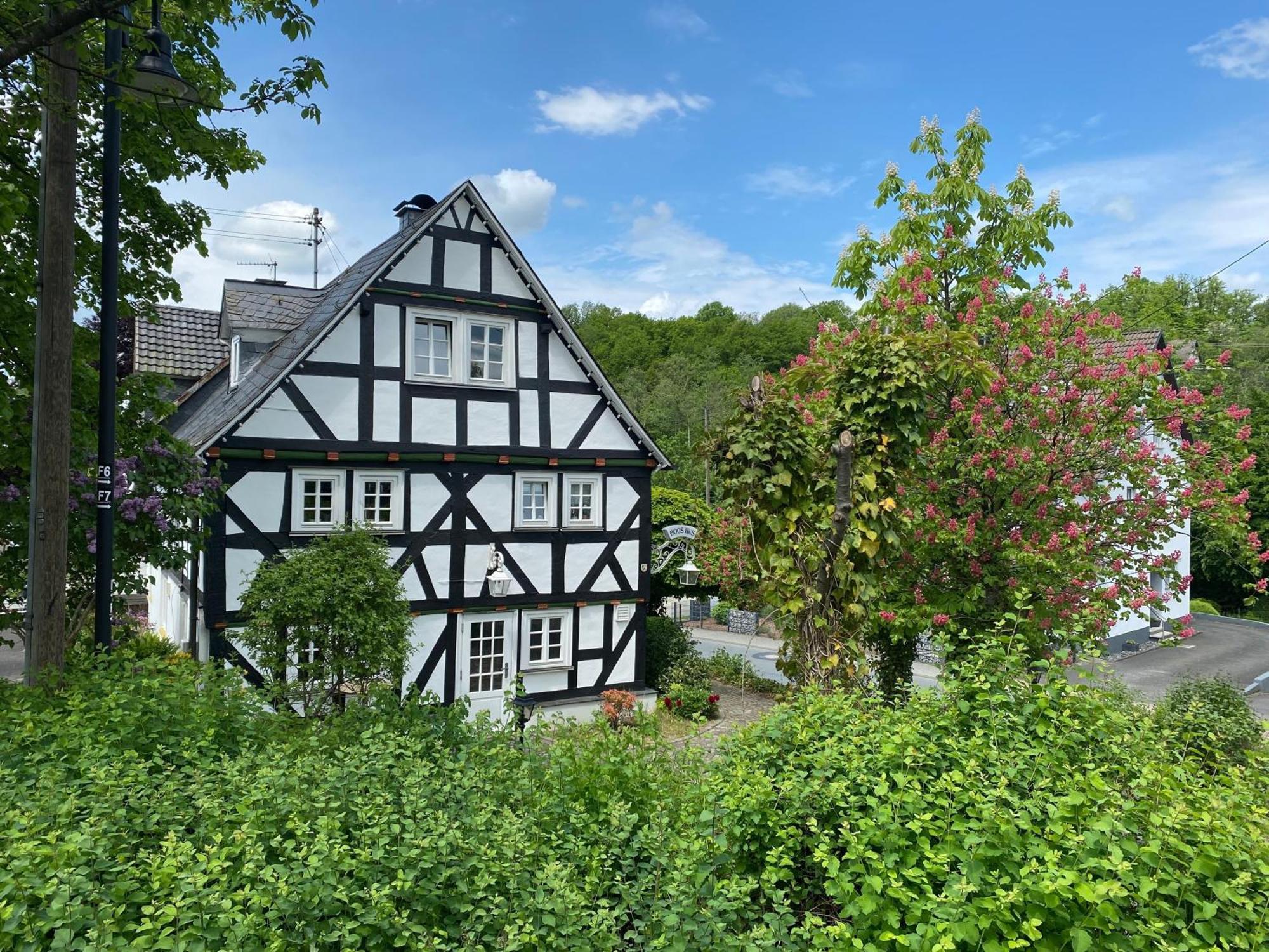 Bi Abbas Jong Freudenberg (North Rhine-Westphalia) Exterior foto